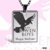 La Profecia del Cuervo - The Raven Boys